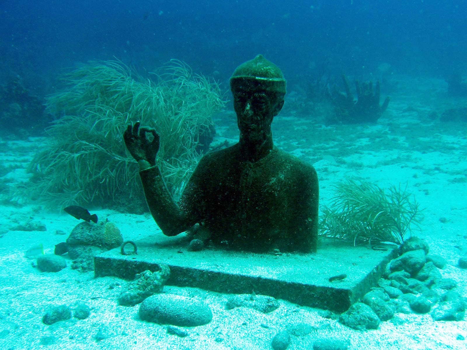 Réserve Cousteau - Buste commandant Cousteau