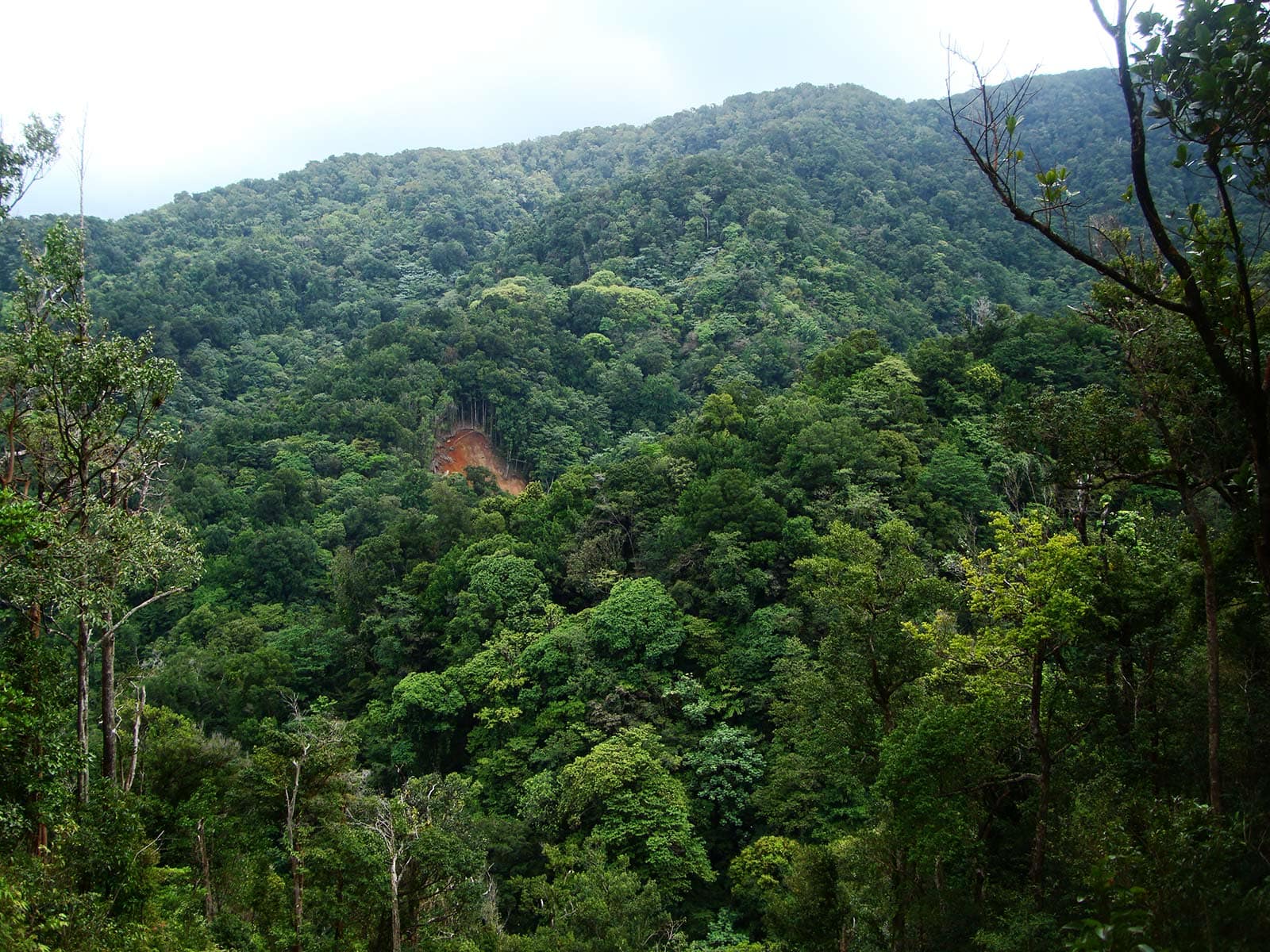 Trace en montagne à Bouillante - proximité villas Gwadalodge